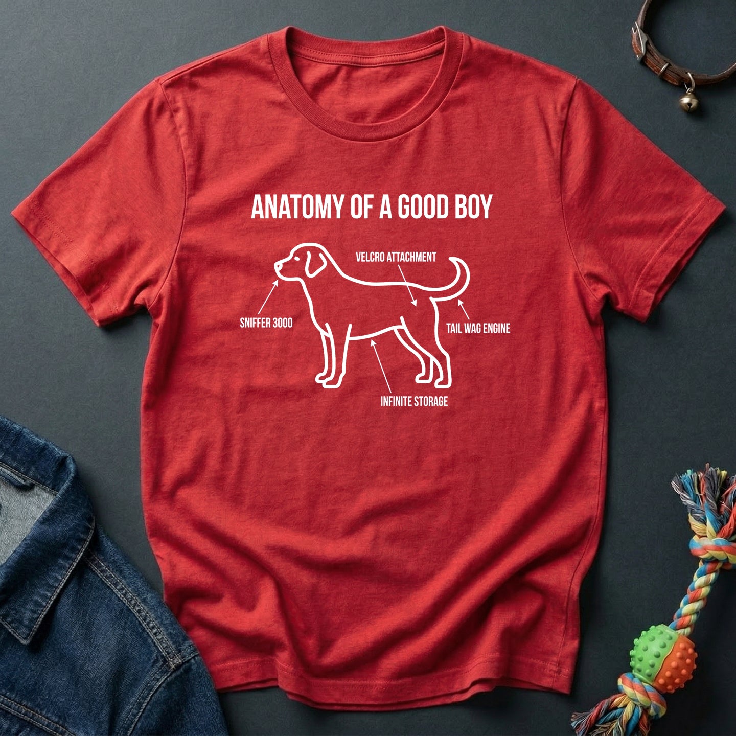 Anatomy of Good Boy